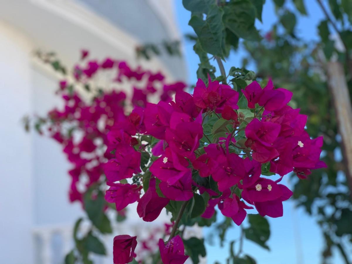 Parid Appartments Saranda Dış mekan fotoğraf